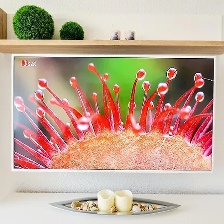 Strandhochhaus Shc9 Apartment