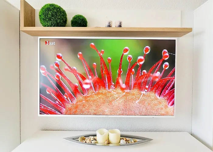 Strandhochhaus Shc9 Lejlighed